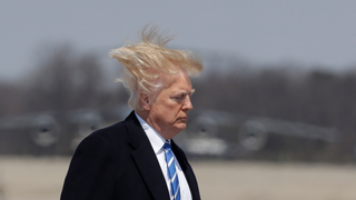 Windswept Honey Bun Boards Presidential Aircraft